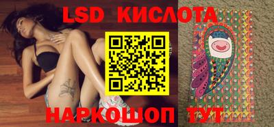 тгк Кингисепп