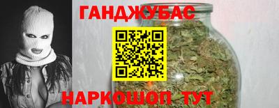 тгк Кингисепп