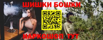 тгк Кингисепп