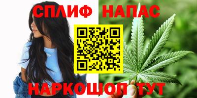 тгк Кингисепп