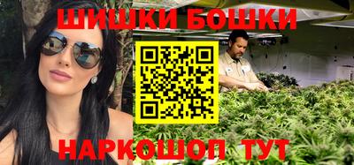 тгк Кингисепп