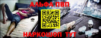 тгк Кингисепп
